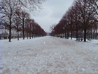 Les Tuileries sous la neige