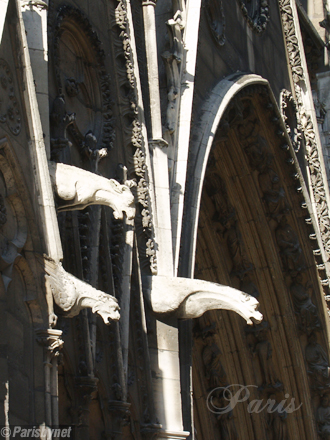 Notre-Dame de Paris, gargouilles