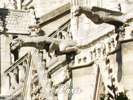 Notre-Dame de Paris, gargouilles